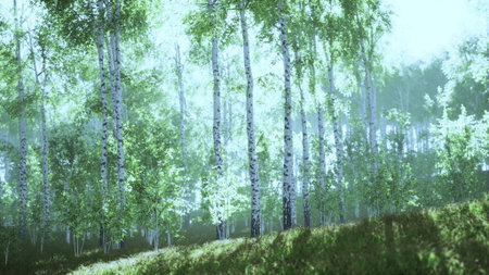 Sunlight filters gently through a lush forest, illuminating vibrant green leaves and slender trees....