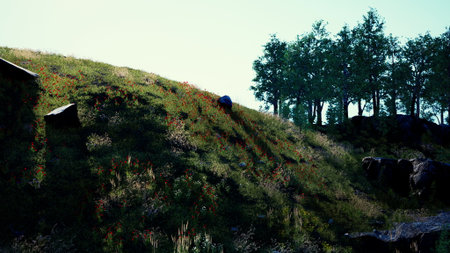 A serene hillside is covered with vibrant wildflowers and lush grass. Tall trees line the area, creating a peaceful atmosphere during the soft light of evening.の写真素材