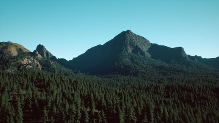 Majestic mountains tower over a vast expanse of dense coniferous trees, with a bright blue sky providing a perfect backdrop. Nature thrives in this beautiful landscape under warm sunlight.の写真素材