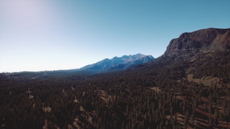 Mountains rise gracefully in the background with a stunning range of peaks. A vast forest spreads out below, bathed in warm sunlight, creating a serene outdoor scene.の写真素材