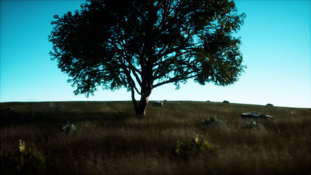 A striking tree dominates the peaceful scene, surrounded by tall grass. The sky is painted in soft hues as the sun begins to set, creating a tranquil atmosphere on the hillside.の写真素材