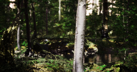 A tall tree rises among dense greenery in a forest, surrounded by ferns and undergrowth with a calm...