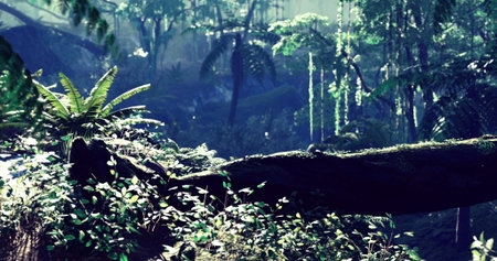 Sunlight filters through dense foliage in a tropical rainforest, illuminating various plants and...