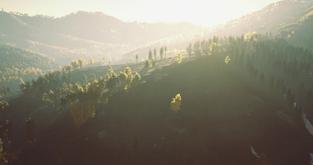 Sunlight bathes the hillside and surrounding forest in warm tones, highlighting lush greenery and...