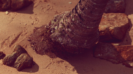 A sturdy tree trunk rests in soft golden sand, surrounded by scattered rocks and earthy textures....