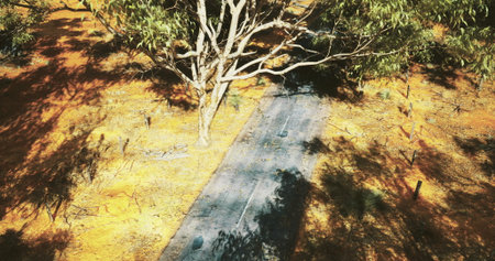 A dirt road stretches through a colorful landscape under sunlight. Surrounding trees provide shade,...
