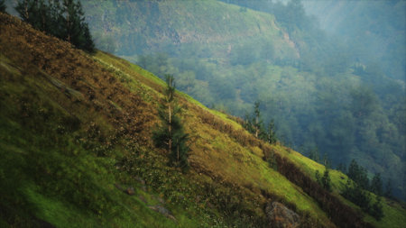 This image captures a peaceful and picturesque scene of a grassy hill adorned with trees, creating a serene alpine meadow landscape.の写真素材