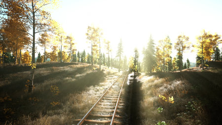 traveling down train tracks through a forest