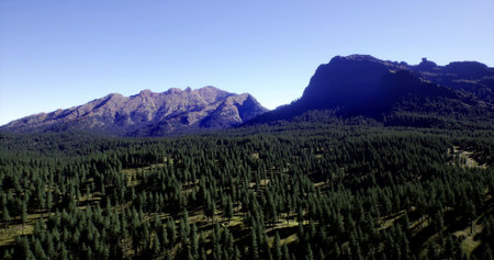 Breathtaking view of rugged mountain peaks surrounded by an expansive evergreen forest under a clear...