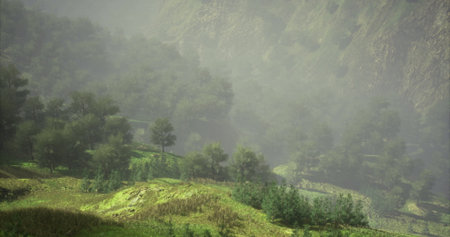 Fleeting wisps of fog envelop vibrant valleys dotted with trees, creating a serene atmosphere in the early morning. Natures palette reveals rich greens and soft earth tones.の写真素材