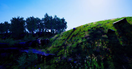 A serene hillside awakens at dawn, bathed in soft sunlight. Lush greenery and colorful wildflowers create a picturesque setting, while trees stand tall against the clear blue sky.の写真素材