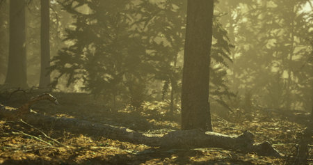 Soft sunlight penetrates the dense foliage of a tranquil forest, illuminating a fallen log and...