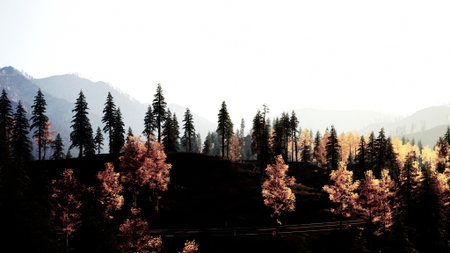 Golden leaves blanket the trees in a serene forest setting. Gentle sunlight bathes the landscape,...