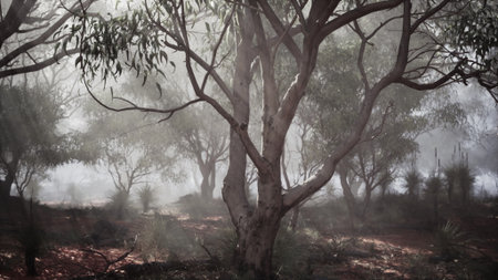 In the early hours, a tranquil Australian forest awakens. Mist envelops tall eucalyptus trees,...
