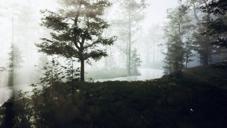 Early morning light filters through the mist in a tranquil forest. The calm river reflects the...