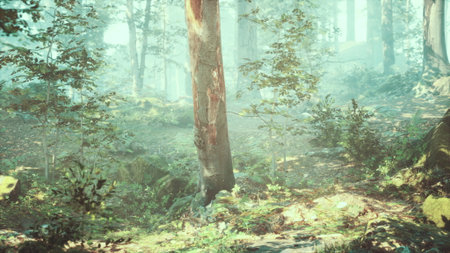 Sunlight gently streams through a serene forest, creating a mystical atmosphere. Lush green foliage, towering trees, and soft ground cover enhance the peaceful environment.の写真素材