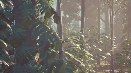 Sunlight streams through tall trees, illuminating vibrant green leaves in a serene forest. The peaceful atmosphere invites exploration amid natures beauty.の写真素材