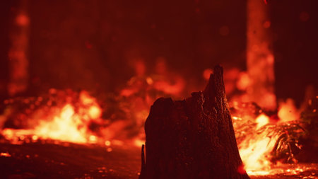 Bright orange and red flames consume the underbrush, sending sparks into the darkening sky. Charred...