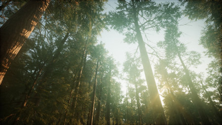 Golden sunlight pierces through the dense canopy, illuminating the tranquil forest. Tall trees rise...