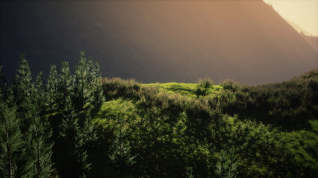 Lush green hills stretch under a soft golden sunlight, capturing the serenity of the landscape. Tall trees frame the scene, inviting peaceful contemplation and appreciation of nature.の写真素材