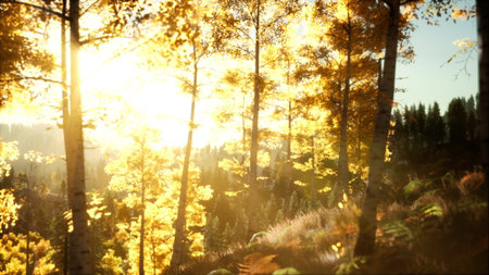 Warm hues of golden sunlight dance among vibrant autumn foliage, illuminating a tranquil forest at dawn. The peaceful atmosphere invites reflection and serenity amidst natures beauty.の写真素材