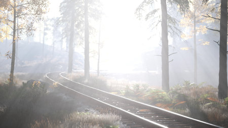 Sunlight filters through the dense trees, creating a magical mist in the woods. The gentle curve of the railway tracks leads deeper into an enchanting autumn landscape filled with serene beauty.の写真素材