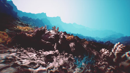 Colorful coral reefs thrive on a tranquil seabed adorned with rocky structures. The sunlight gently...