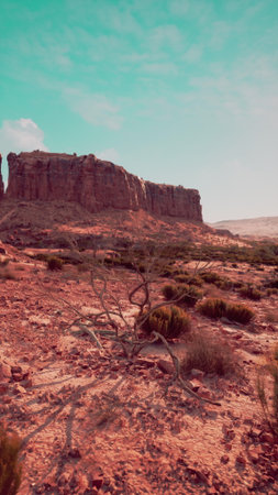 A desert landscape with a prominent rock formation in the background under a clear sky.