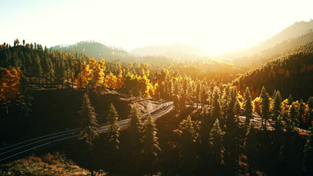 An aerial view of a road in the middle of a forest