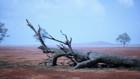 A dead tree in the middle of a desertの写真素材