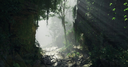 Sunlight streams through dense tree cover in a vibrant rainforest. Mist hangs in the air as thick...