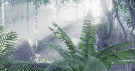 In the early morning, beams of sunlight cascade through a dense forest, illuminating vibrant green ferns. Mist hangs in the air, creating a serene and enchanting atmosphere.の写真素材