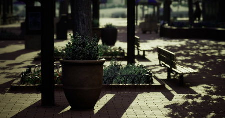A tranquil park area features large flower pots filled with greenery. Benches provide seating as sunlight casts shadows on the pathway, creating a serene atmosphere for relaxation.の写真素材