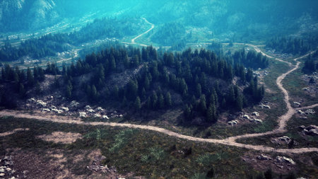 Breathtaking scenery showcases a serene mountain landscape with winding dirt paths. Tall trees dot...