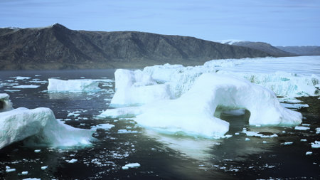 Icebergs float gracefully in serene Arctic waters, surrounded by majestic mountains. The tranquil...