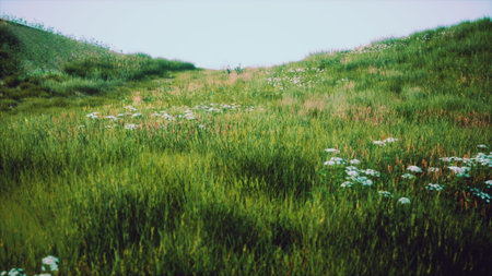 A lush meadow stretches across the landscape, filled with vibrant green grass and scattered wildflowers. The scene reflects the calmness of nature, inviting exploration.の写真素材