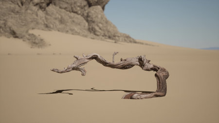 A singular piece of driftwood rests on the golden sand, casting a gentle shadow under the clear blue sky. The rugged rocks in the background create a tranquil scene of natures beauty.の写真素材