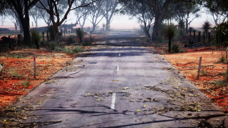 A deserted road stretches ahead, surrounded by trees and dry earth. Mist envelops the scene, creating a mysterious and tranquil setting. Nature reclaims its space with fallen leaves and branches.の写真素材