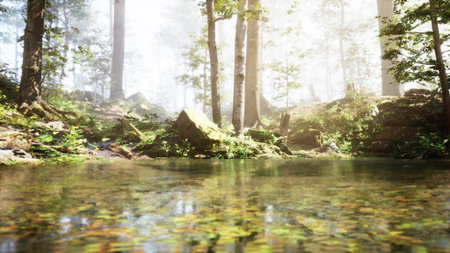 Morning light filters through the lush trees surrounding a calm woodland stream. Soft mist hovers above the water, creating a tranquil atmosphere in the natural setting.の写真素材