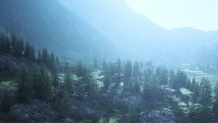 A tranquil landscape unfolds as mist blankets the mountains at dawn, revealing lush green trees in a peaceful setting, evoking a sense of calm and wonder in nature.の写真素材