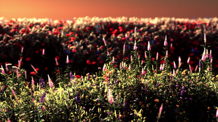 A colorful expanse of flowers stretches across the landscape, bathed in the warm glow of a golden...