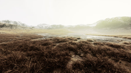Beautiful Rocks with dry grass