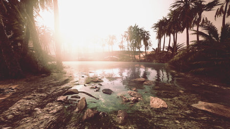 A peaceful oasis emerges as the sun sets, casting golden light over the still waters. Lush palm trees frame the tranquil scene, creating a perfect escape in nature.の写真素材