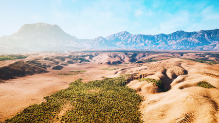 Vast stretches of golden sand and scattered vegetation create a stunning desert scene with towering mountains in the background. The vibrant blue sky adds warmth and beauty to the landscape.の写真素材