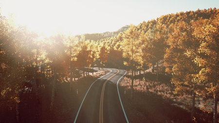 A gentle road curves through a vibrant forest of golden and orange leaves. The sun casts a warm...
