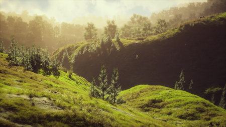 Verdant hills stretch into the distance, bathed in soft golden light. A serene atmosphere envelops...