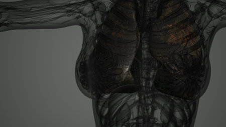 A captivating view of human lungs reveals the intricate network of airways and tissues. This...