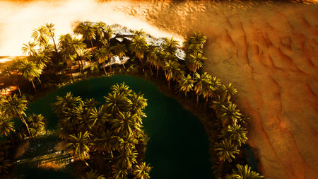 A vibrant oasis thrives amid endless sandy dunes, palm trees casting shadows over tranquil waters; the setting sun bathes the scene in warm hues, creating a serene escape in the vast desert.の写真素材