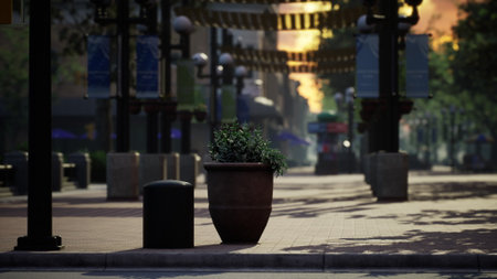 Sunlight filters through trees, casting warm hues on a deserted city street. A single plant thrives in a pot beside a trash bin, surrounded by tranquil quietude post bustle.の写真素材