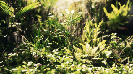 Sunlight filters through lush leaves in a vibrant forest, illuminating various shades of green and creating a tranquil atmosphere perfect for natures beauty and exploration.の写真素材